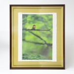 Fine Art & Product Photography Services 