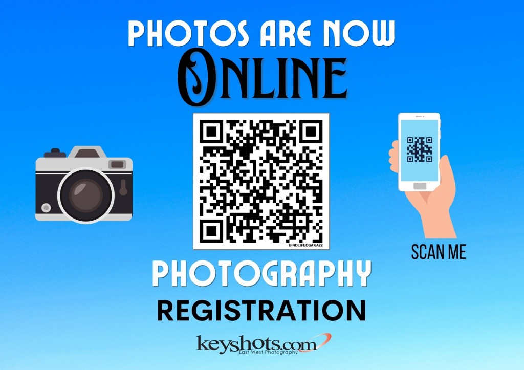 Photos are online - BIRDLIFE OSAKA 2022